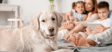 bobby terry company happy home AC air quality athens alabama